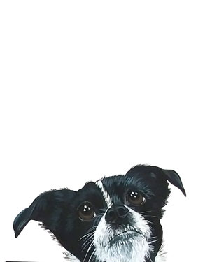 Peekaboo Painting 2 of 4: Lily - Acrylic on 11 X 14 Canvas Sheet