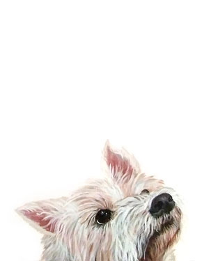 Peekaboo Painting 1 of 4: Robbie - Acrylic on 11 X 14 Canvas Sheet